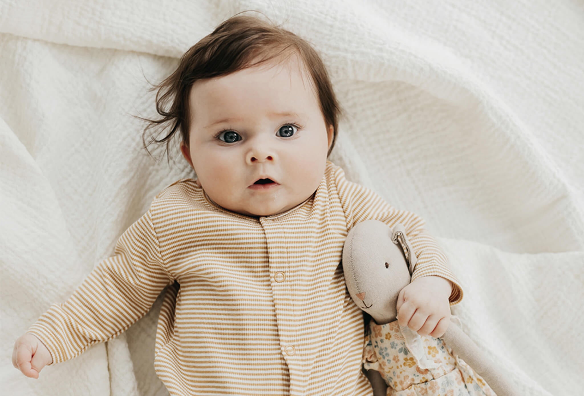 Jamie Kay Carousel Look Book