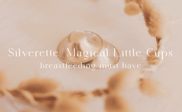 Silverette Breastcups are a must have for all Breastfeeding mothers. They are the perfect baby shower gift for expectant mothers. Breastfeeding cups available online and instore in New Zealand from Little Gatherer.
