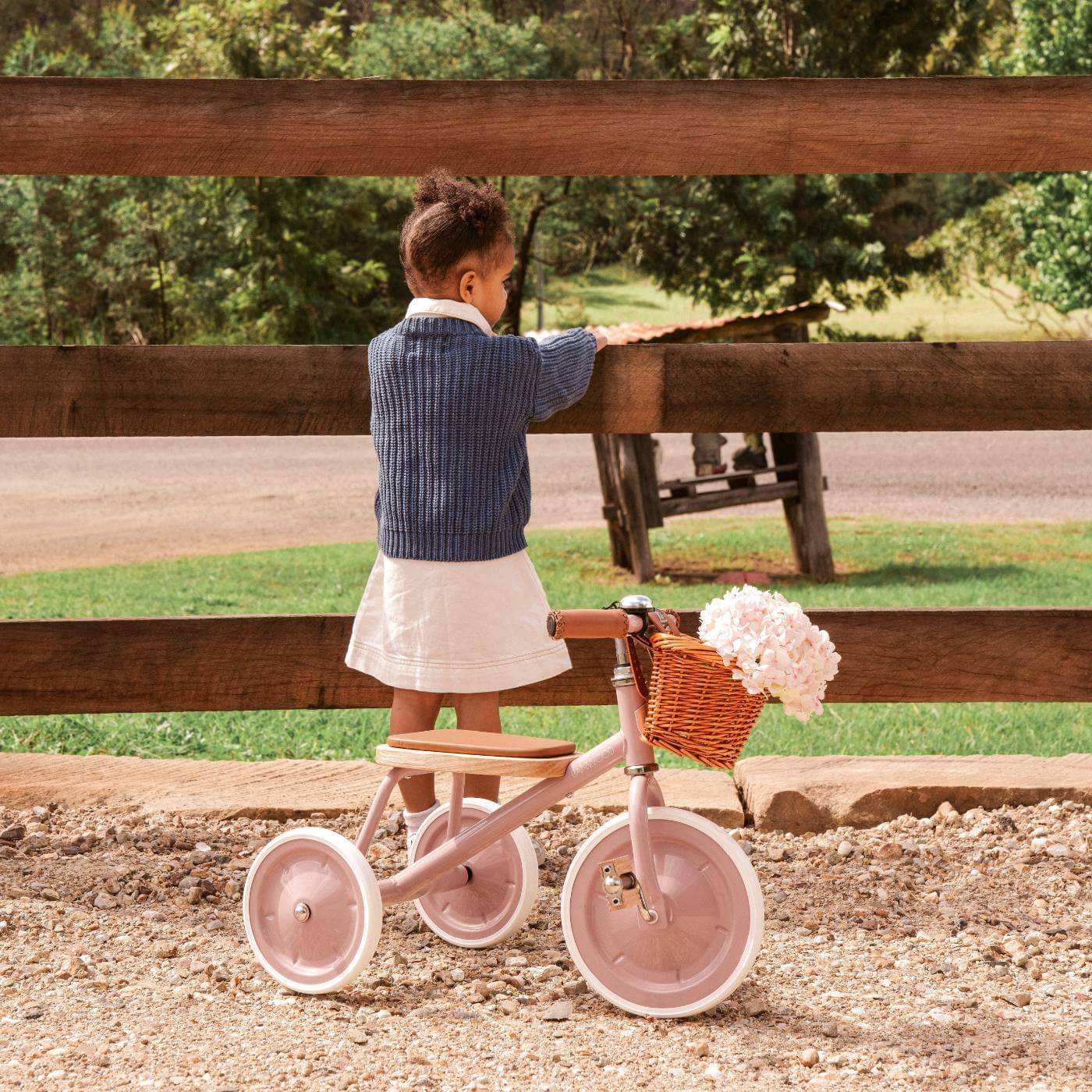 Banwood Trike - Dusty Pink