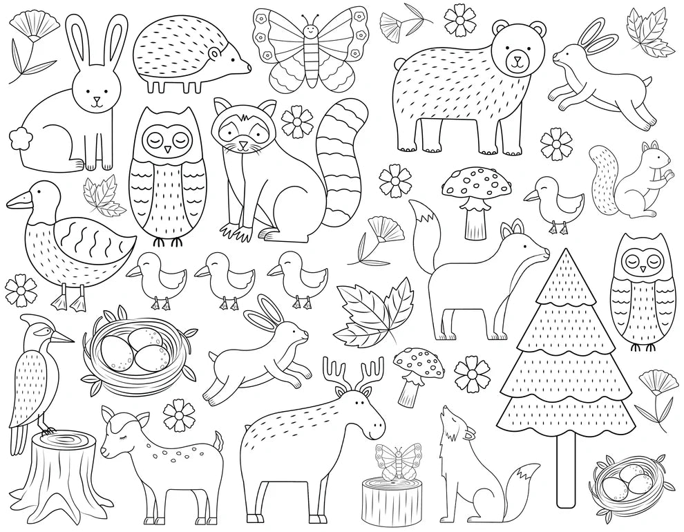 Washable, Reusable Colouring-In Solo Mat Kit - Woodland Wonders