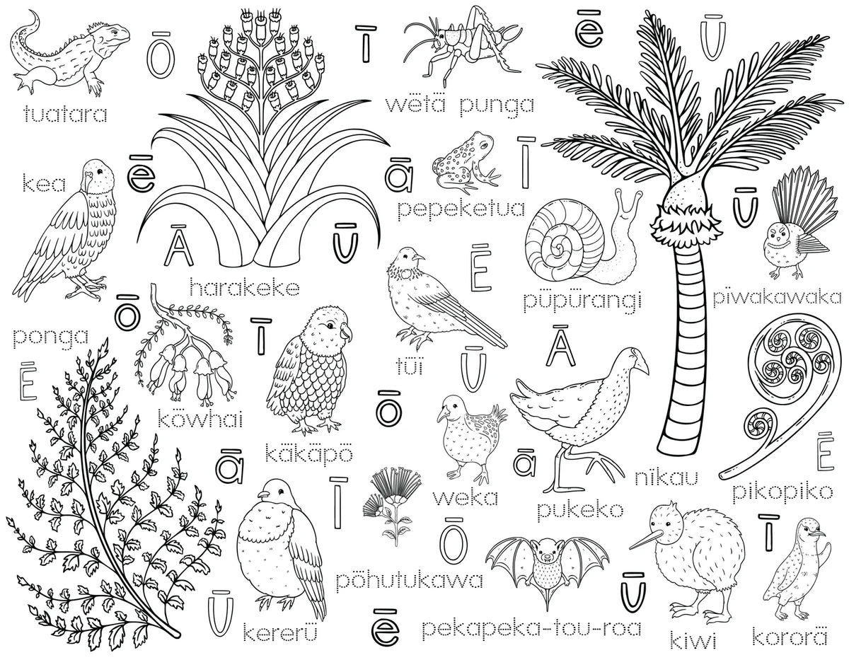 Washable, Reusable Colouring-In Solo Mat Kit - Hoa o te Ngahere