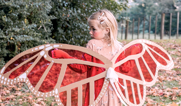 Sun Catcher Butterfly Wings