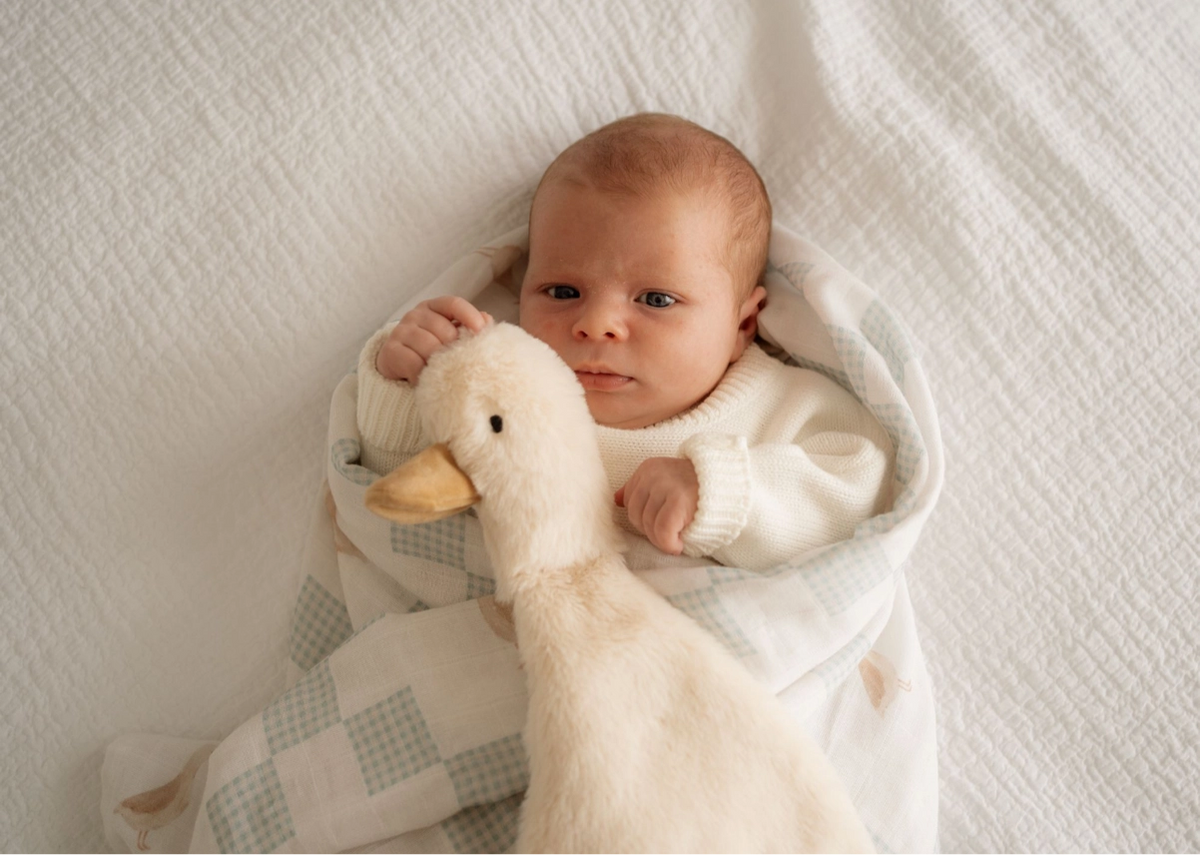 Waddles the Goose Comforter