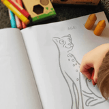 Honeysticks Colouring Book - Endangered Species