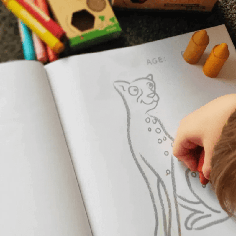 Honeysticks Colouring Book - Endangered Species