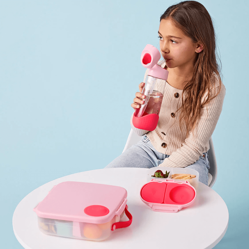 B.Box Lunchbox - Flamingo Fizz