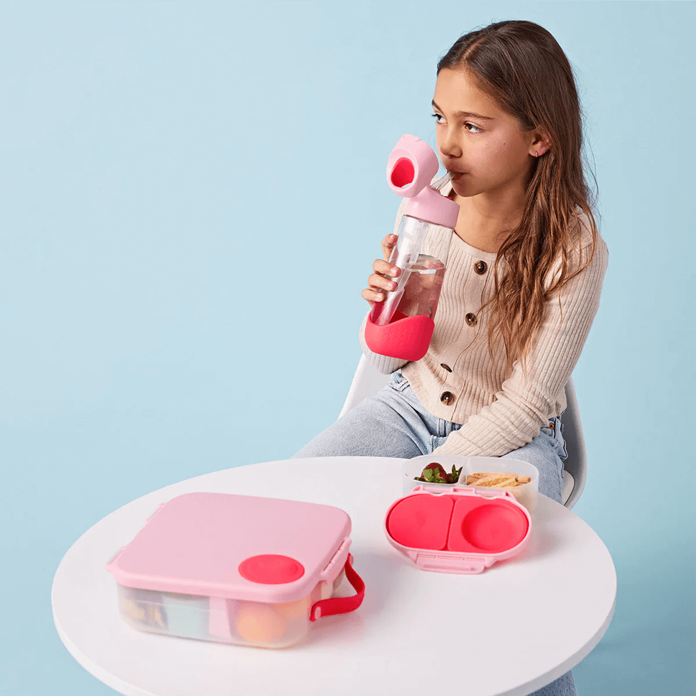 B.Box Snackbox - Flamingo Fizz