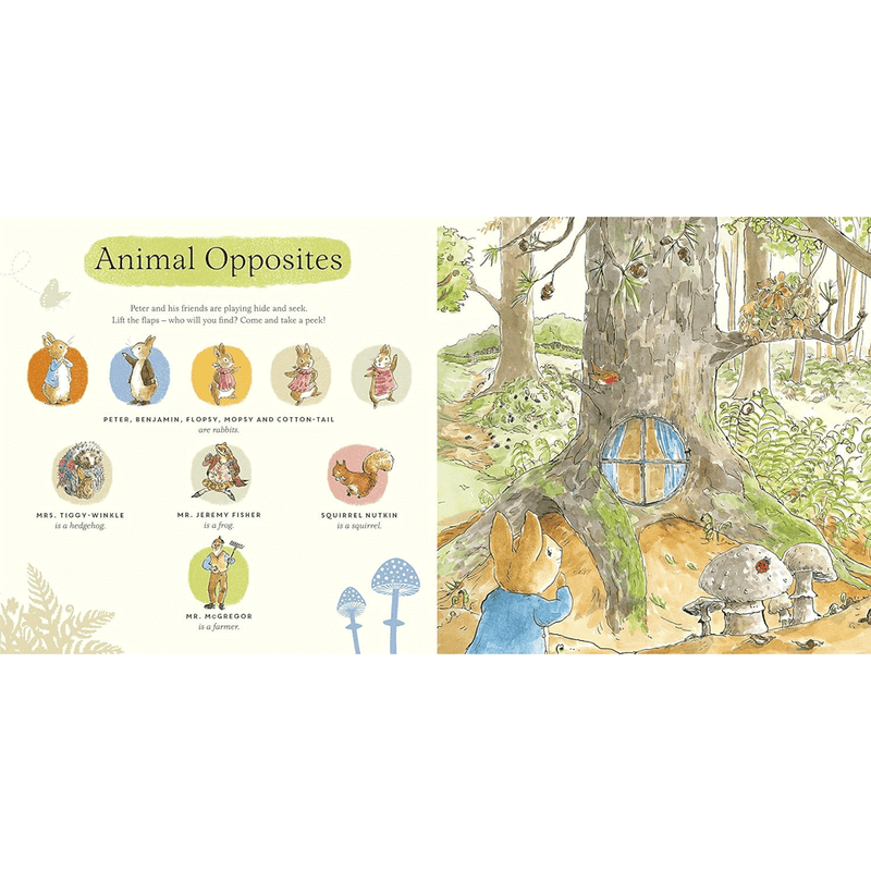 Peter Rabbit - What Can You See Peter?