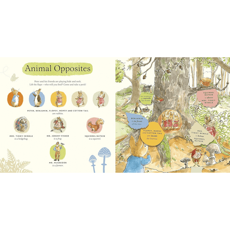 Peter Rabbit - What Can You See Peter?