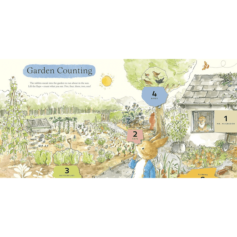 Peter Rabbit - What Can You See Peter?