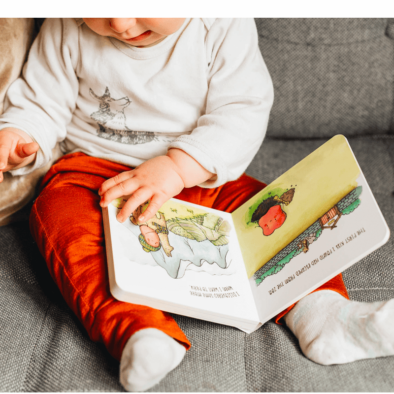 I Got You Some Kisses Board Book