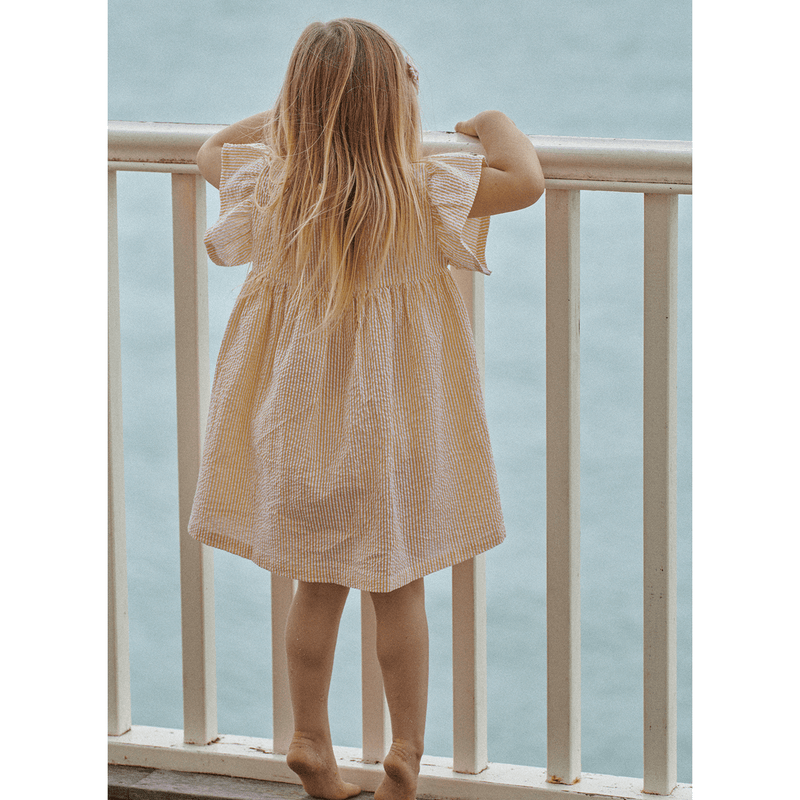 Nature Baby Bonnie Dress - Golden Stripe