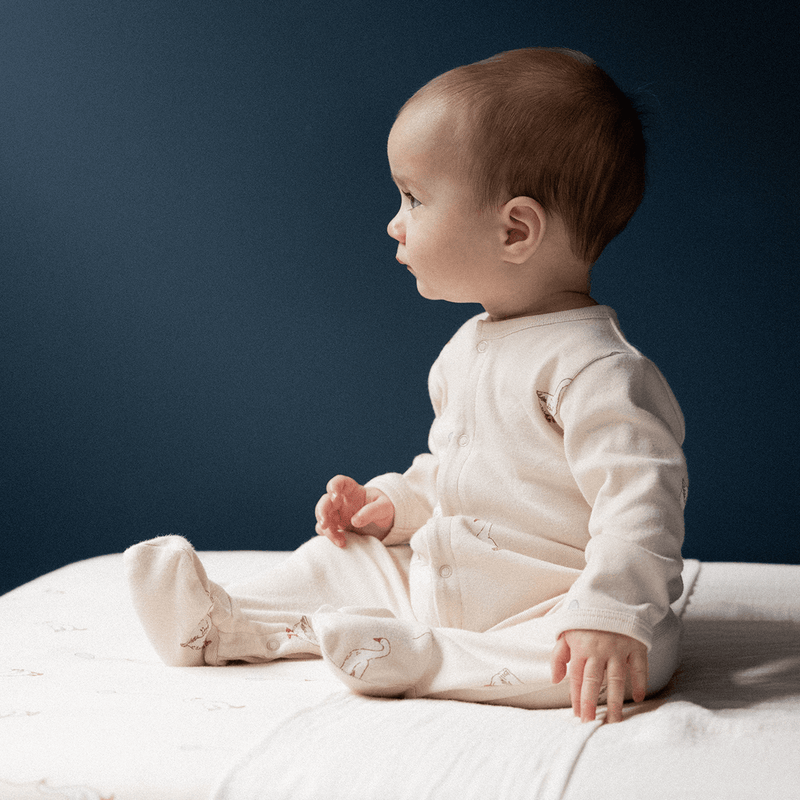Nature Baby Kimono Stretch & Grow - Goose Lullaby