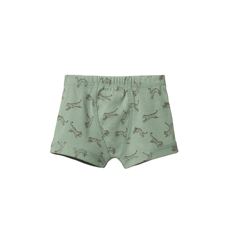 Nature Baby Boys Boxer Shorts - Tiny Tigers Lagoon Print