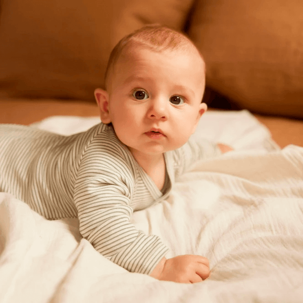 Nature Baby Long Sleeve Kimono Bodysuit - Nettle Pinstripe