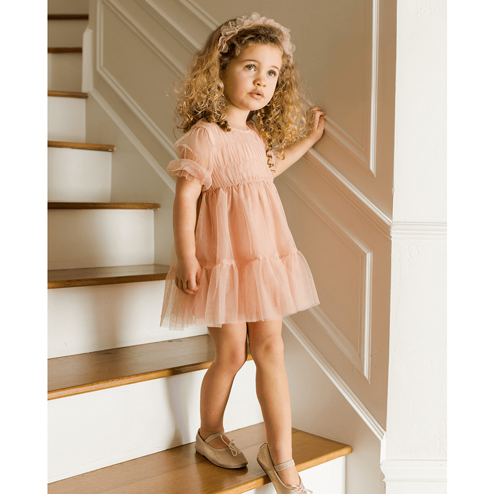 NoraLee Coralie Dress - Rose