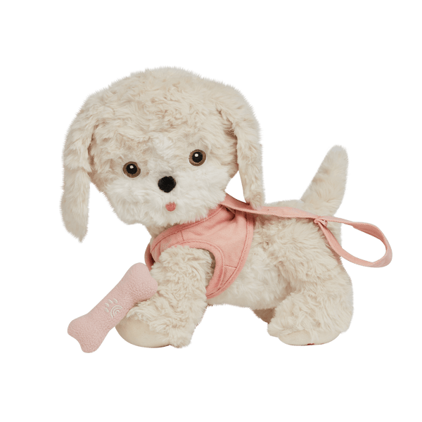 Olli Ella Dinkum Dog Cookie