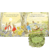 Peter Rabbit Easter Fun