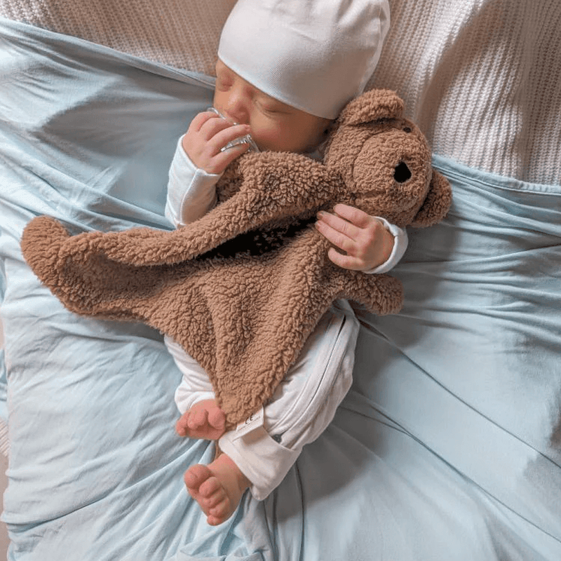 Pop Ya Tot Little Teddy Comforter Toy