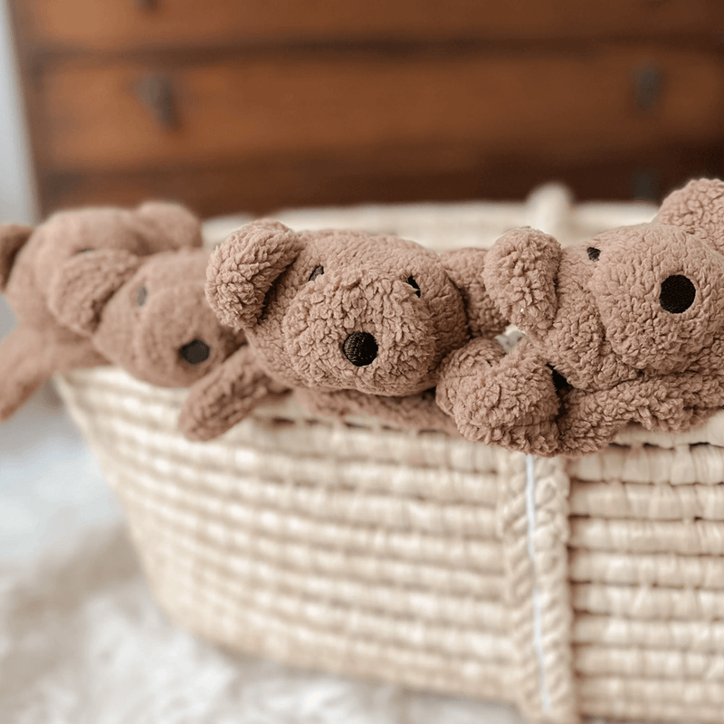 Pop Ya Tot Little Teddy Comforter Toy