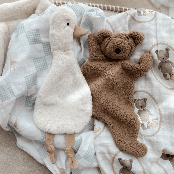 Pop Ya Tot Little Teddy Comforter Toy