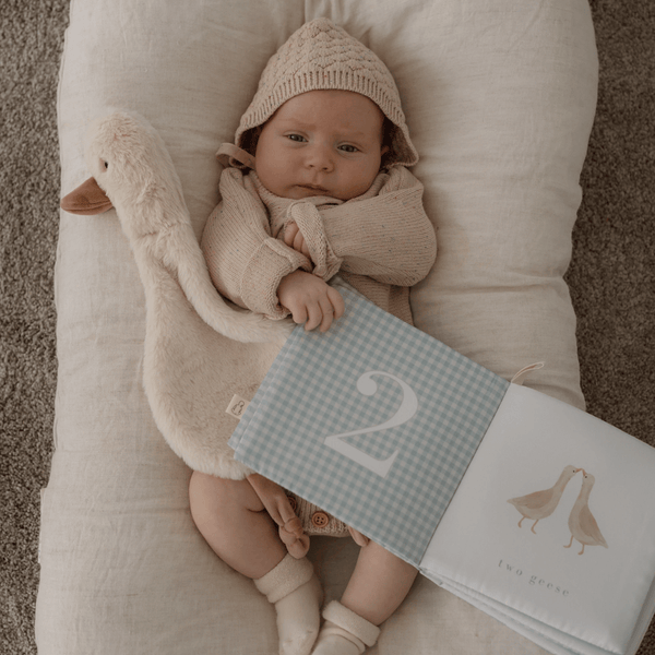 Pop Ya Tot Crinkle Book - How Many Geese Gaggle