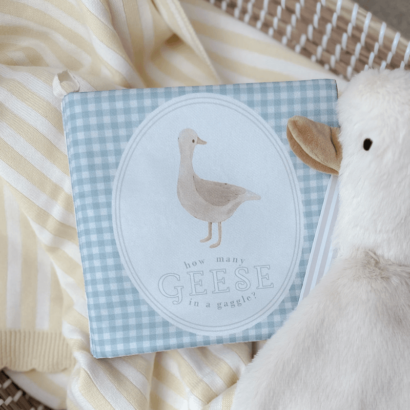Pop Ya Tot Crinkle Book - How Many Geese Gaggle
