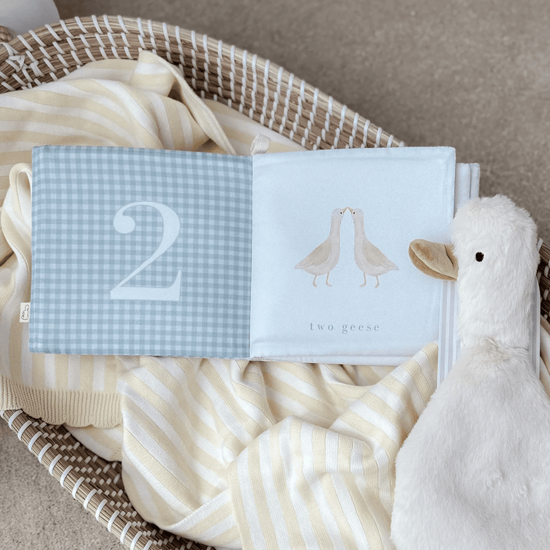 Pop Ya Tot Crinkle Book - How Many Geese Gaggle