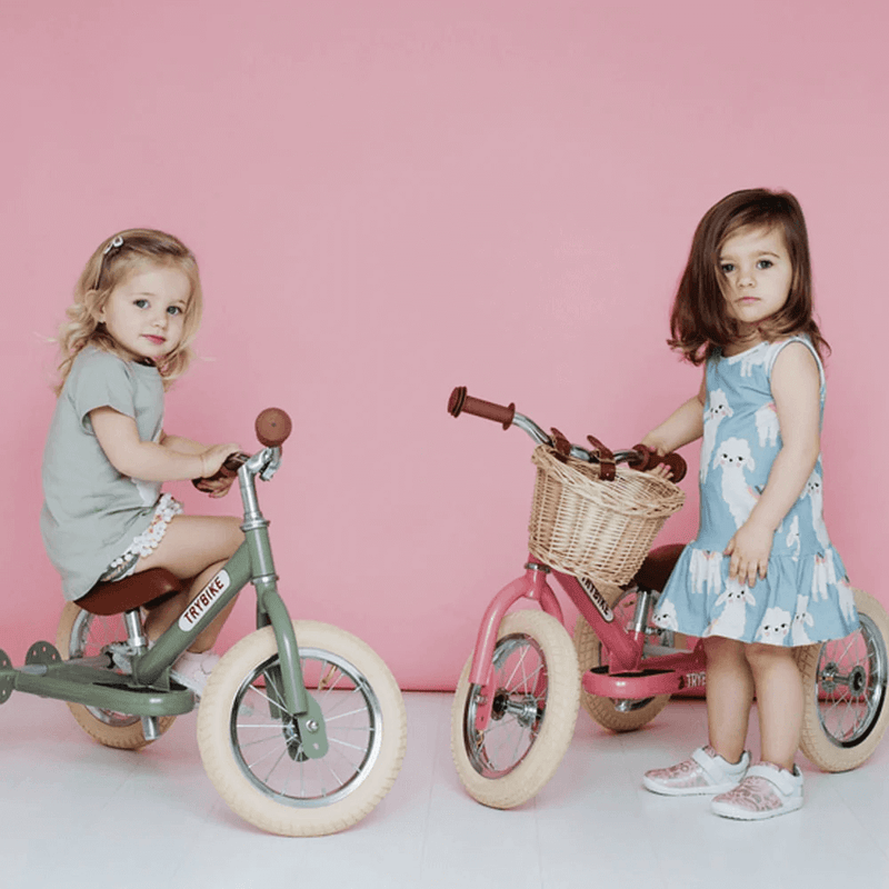 TryBike Basket