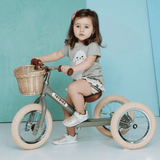 TryBike Basket