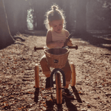 TryBike Basket