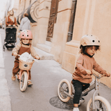 TryBike Basket