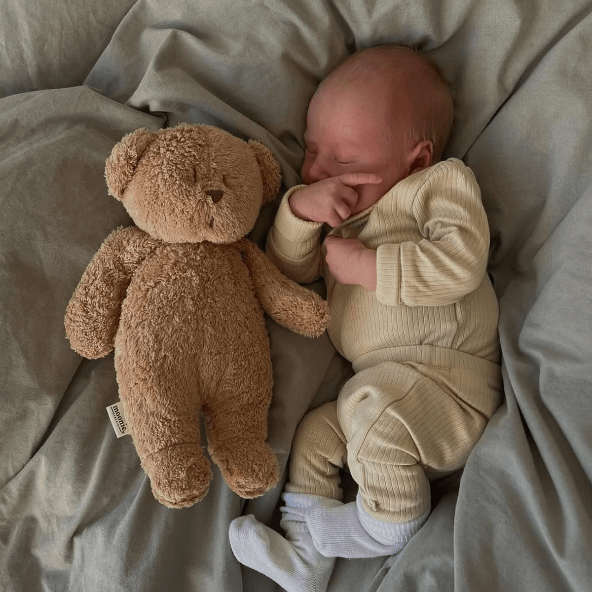 Moonie Organic Humming Bear 2.0 - Cappuccino