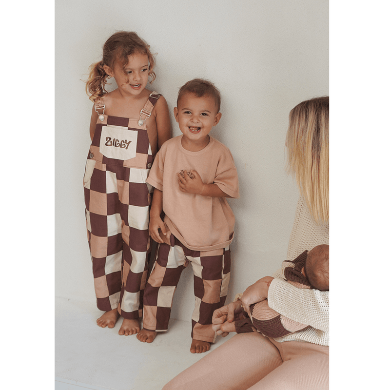 Ziggy Lou Canvas Pants - Checks