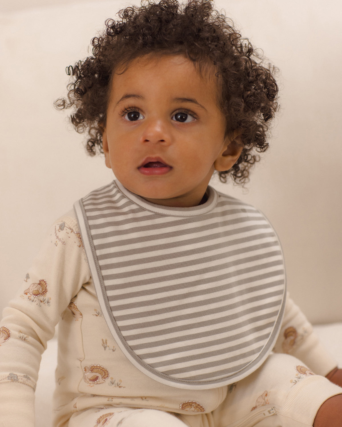 Jersey Snap Bib, 2 Pack - Laurel Stripe, Turkey