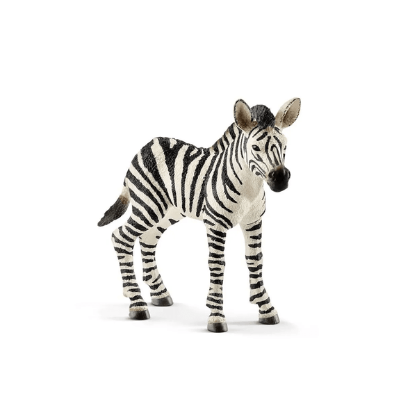 Schleich Zebra Calf