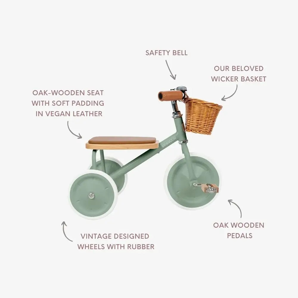 Banwood Trike - Forest