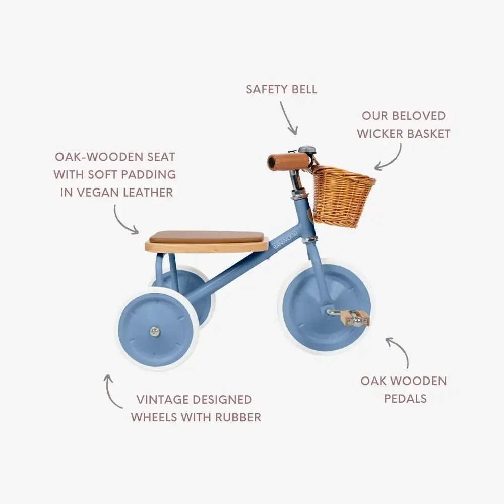 Banwood Trike - Blue