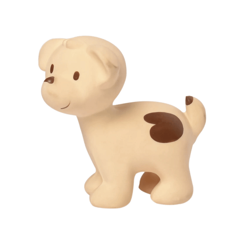 Tikiri Rubber Baby Rattle & Bath Toy - Dog