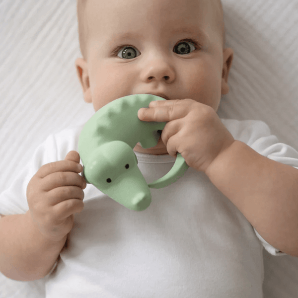 Tikiri Rubber Baby Rattle & Bath Toy - Crocodile