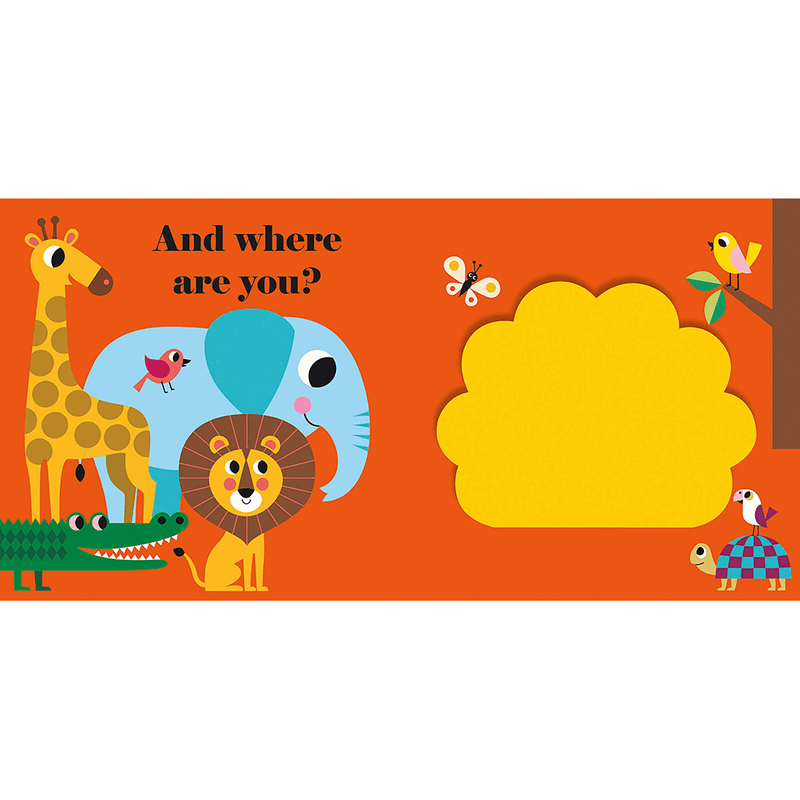 Where's Mr Lion - Buggy Book