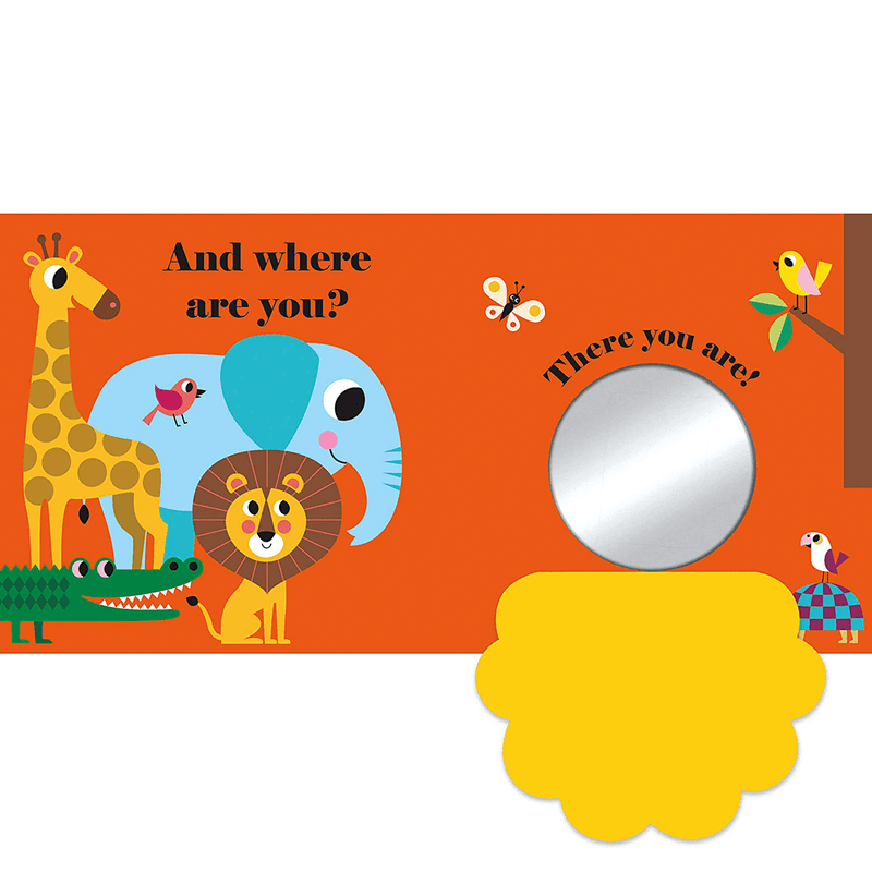 Where's Mr Lion - Buggy Book
