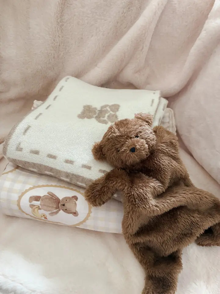 Little Ted Comforter Toy