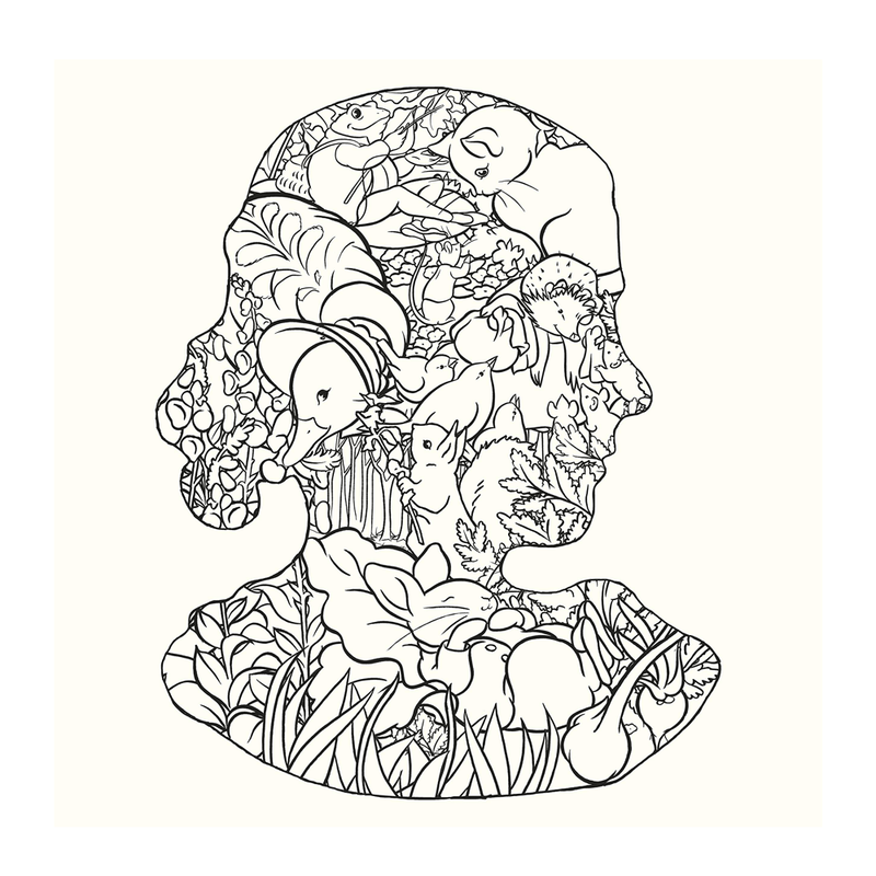 The Beatrix Potter Colouring Book