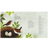 I Am the Seed That Grew the Tree By Fiona Waters & Frann Preston-Gannon