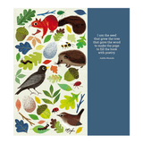 I Am the Seed That Grew the Tree By Fiona Waters & Frann Preston-Gannon