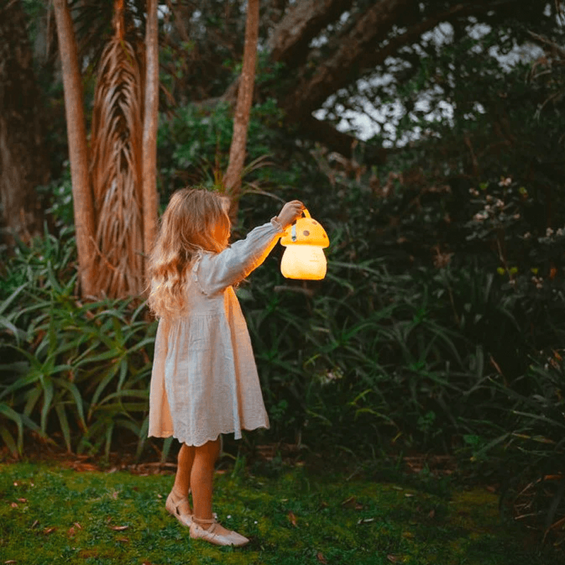 Little Belle Nightlight - Fairy Carry Lantern