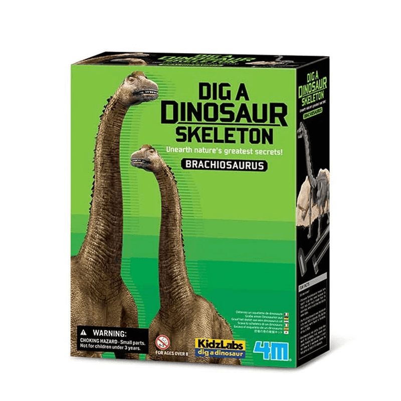 4M Dig A Brachiosaurus Skeleton