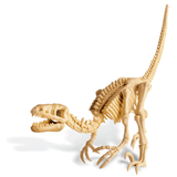 4M Dig A Velociraptor Skeleton