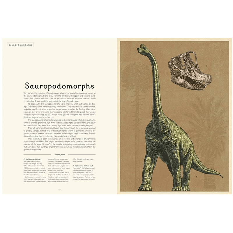 Dinosaurium illustrated by Chris Wormell